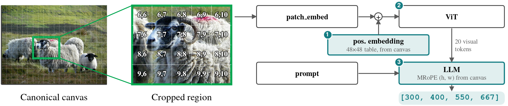 A crop is sampled on the visual-token grid. Its full-image positional information is retained, and its coordinates become the training target.